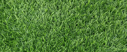 Трава 20 мм 4х25 м (2 цвета)